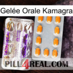 Gelée Orale Kamagra new12